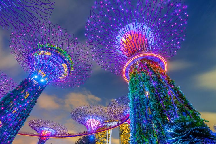 Le spectacle Garden Rhaspody au Gardens By the Bay à Singapour