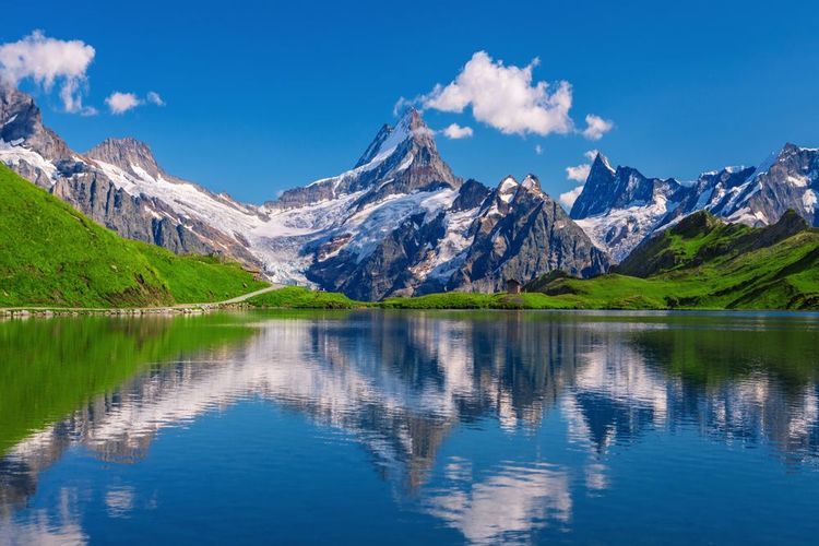 Les Alpes suisses, Suisse
