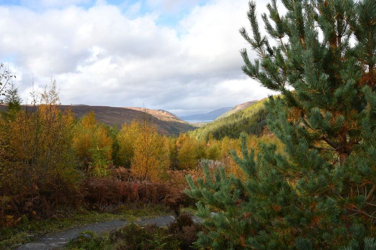 Les Highlands en automne.