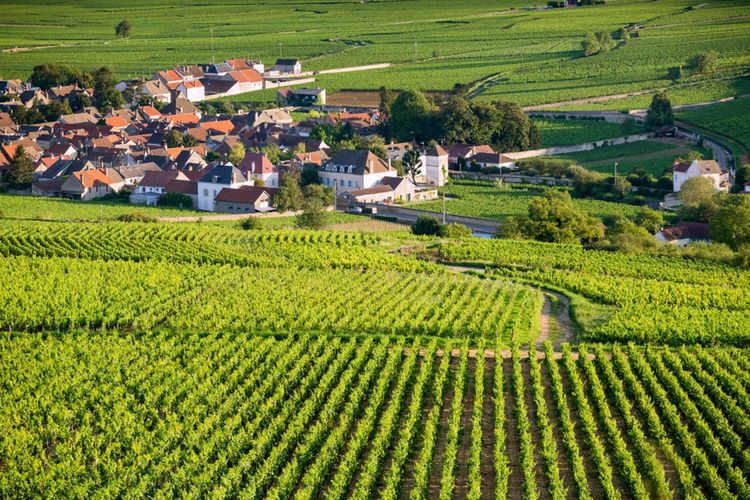 Les climats du vignoble de Bourgogne