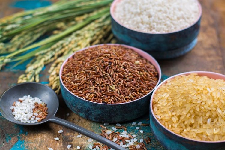 Les différents riz de Camargue