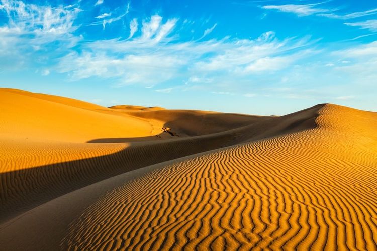 Les dunes de Sam Sand du désert de Thar au Rajasthan en Inde