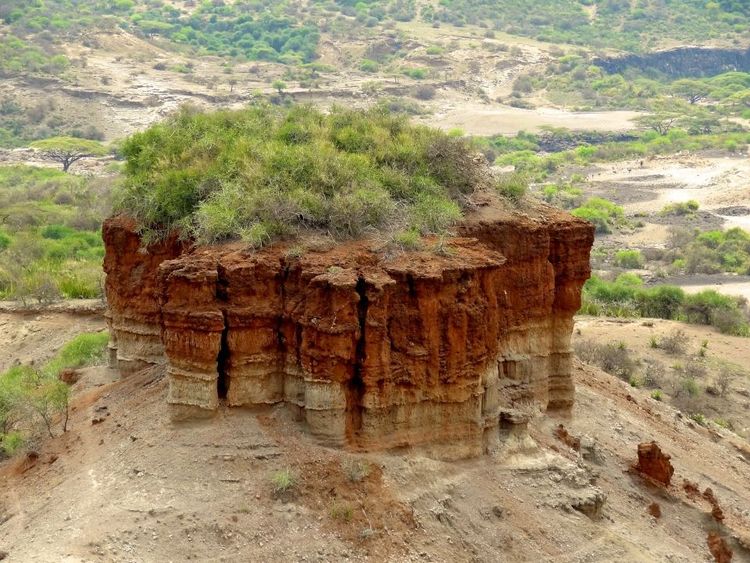 Les gorges d'Olduvai, Tanzanie