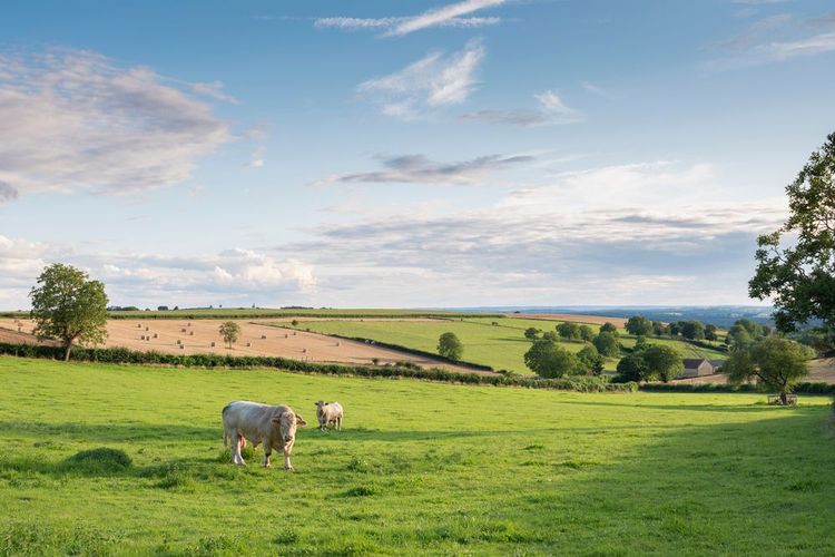 Les paysages ruraux du Morvan, Bourgogne, France