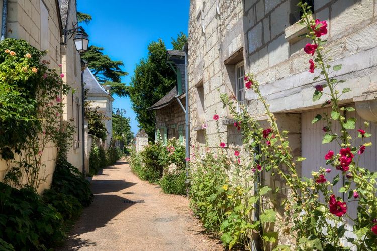 Les ruelle fleuris de Candes-Saint-Martin