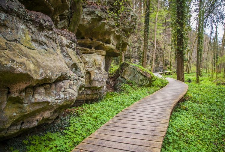 Les sentiers du Mullerthal Trail dans la Suisse Luxembourgeoise, Luxembourg