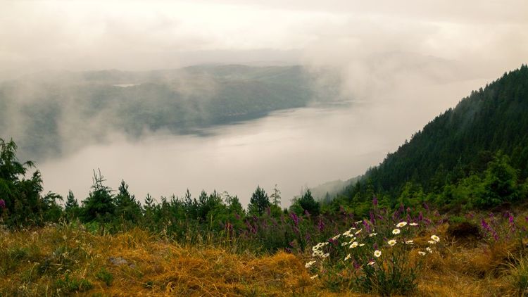 Un brouillard mystérieux autour du Loch Ness