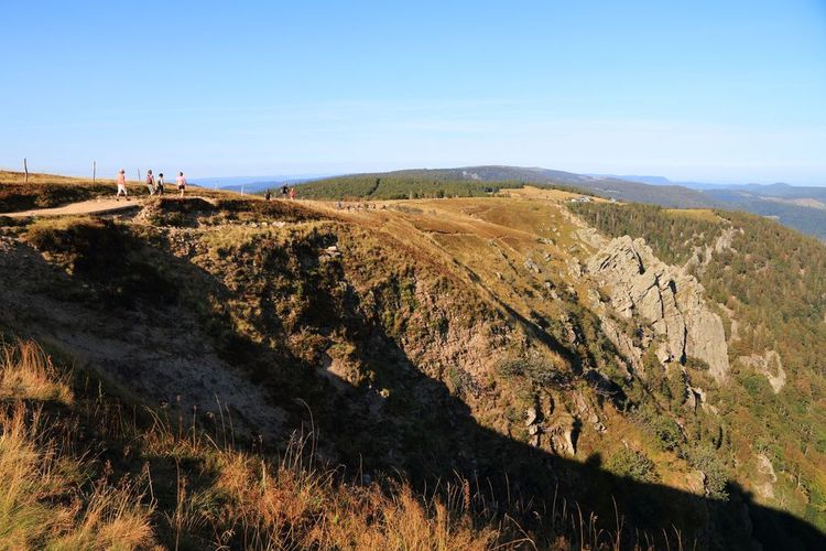 Massif des Vosges