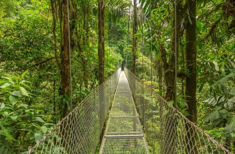 Monteverde, Costa Rica