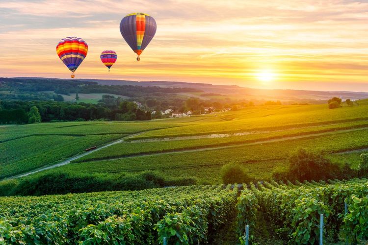 Montgolfières au dessus d'un vignoble en Champagne Ardenne