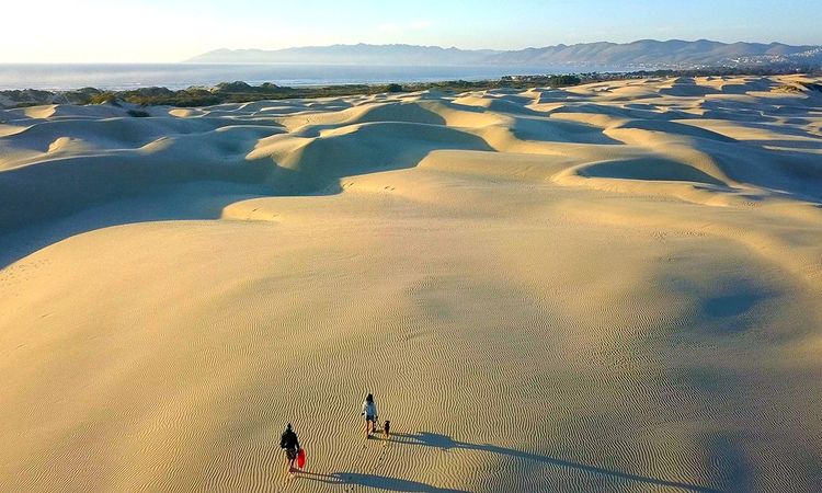 Dunes de l'océan