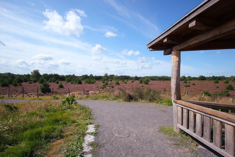 Panorama dans le parc naturel de Barnim