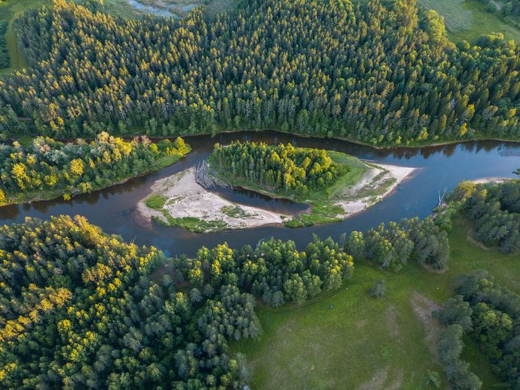 Parc national de Gauja et fleuve du même nom en Lettonie