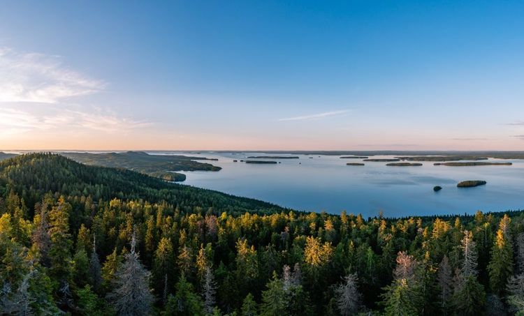 Parc national de Koli en Finlande