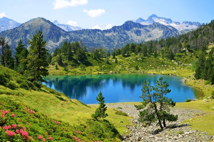 Parc national des Pyrénées
