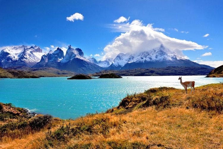 Parc national des Torres del Paine, Patagonie