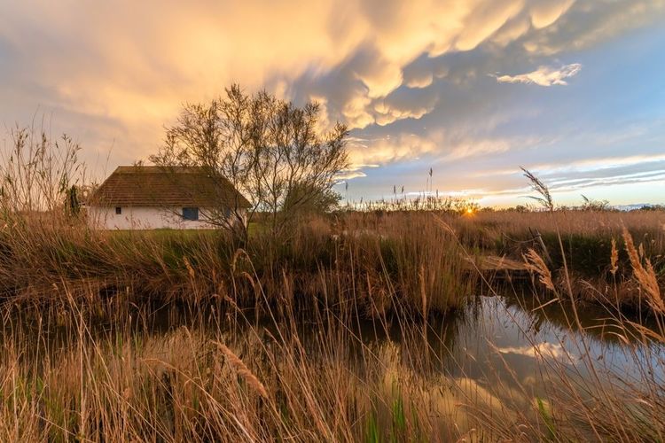 Le parc naturel régional de Camargue occupe une grande partie du territoire d'Arles