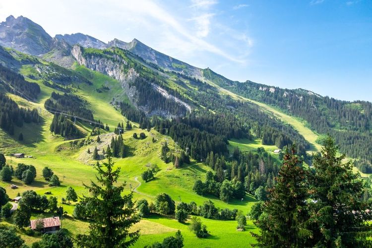 Paysage de montagne dans les Alpes