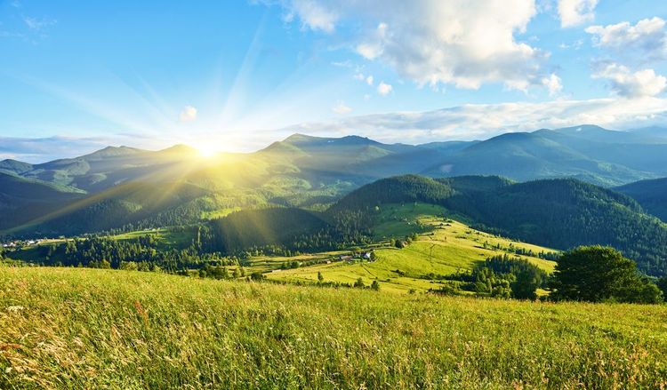 Paysage de montagne en été