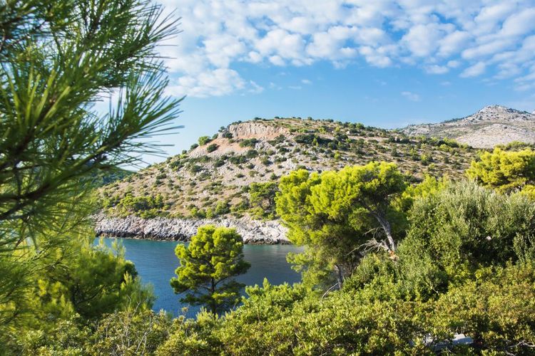 Paysage sur l'île de Lastovo