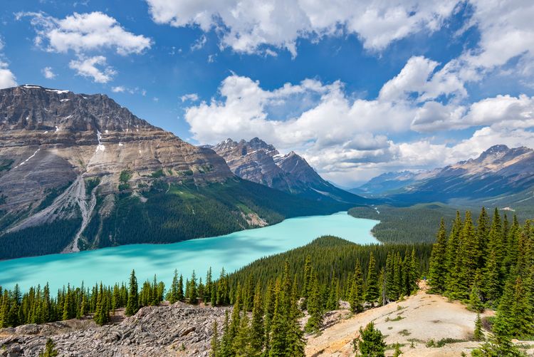 Peyto Lake, Canada