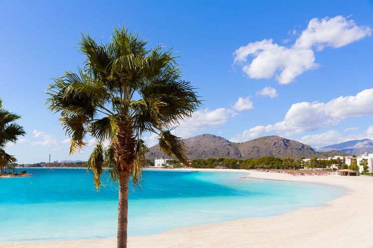 Plage d'Alcudia à Majorque