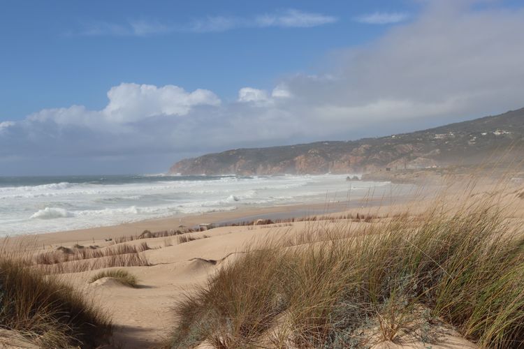 La plage de Guincho est souvent balayée par les rafales de vent © Angélique de la Bretesche
