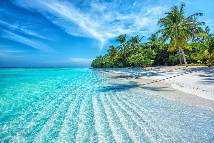 Plage paradisiaque aux Maldives
