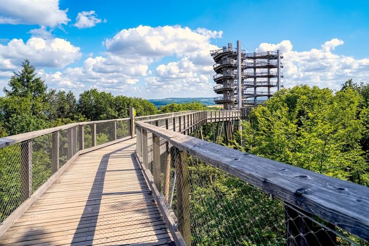 Point de vue pour observer la boucle de la Sarre