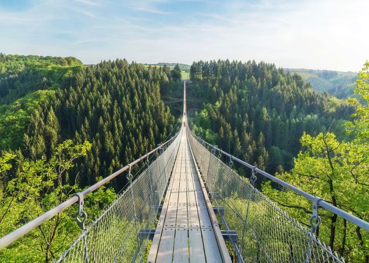 Pont suspendu de Geierlay 