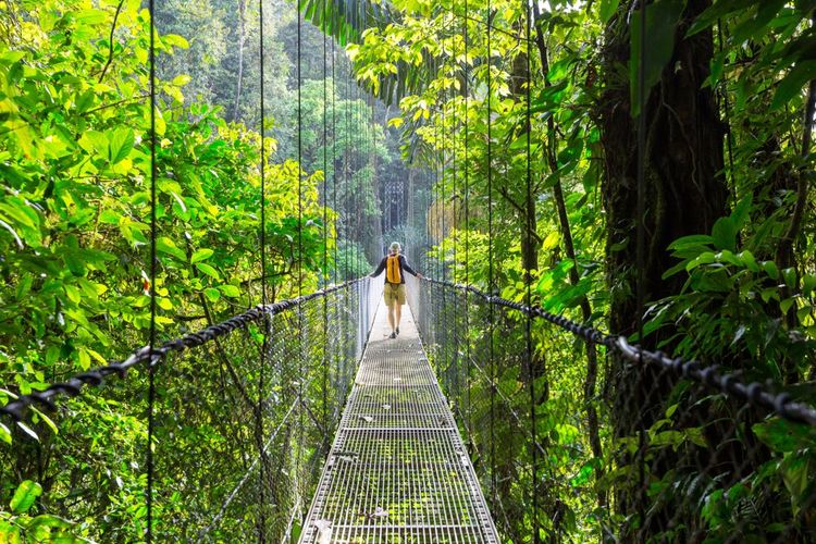 Randonnée dans la jungle tropical au Costa Rica
