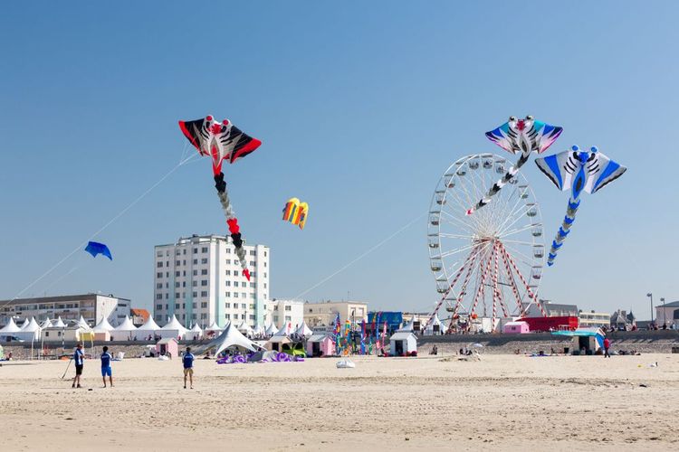 Rencontres internationales de cerfs-volants de Berck-sur-Mer