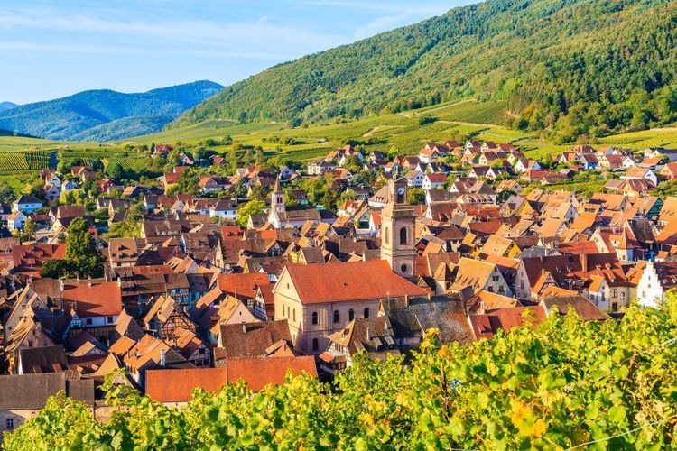 Riquewihr vue de haut