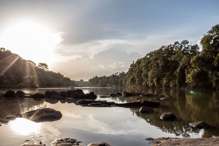 La rivière Comoé du parc national de Comoé - © 2018 Jake Brooker/Shutterstock