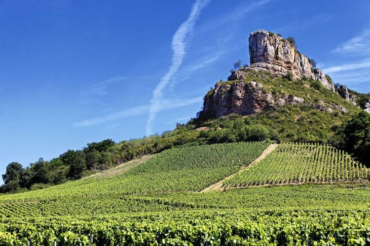 Route des grands crus de Bourgogne