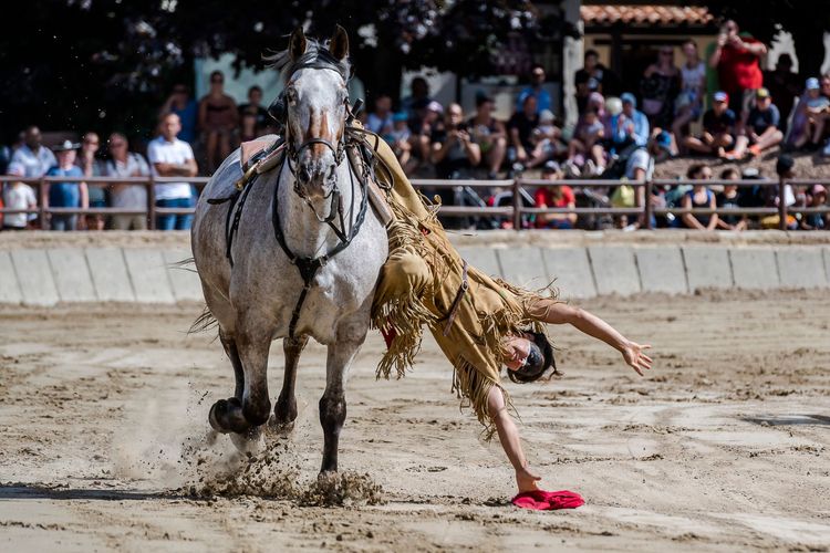 Une des nombreuses acrobaties équestres