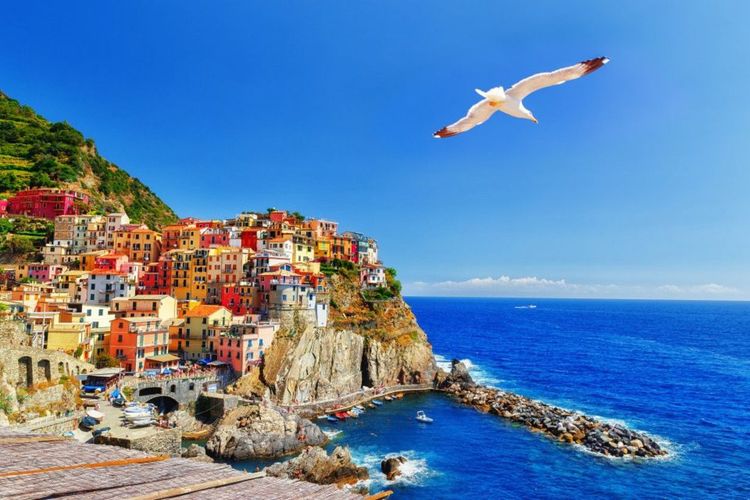 Le village de Manarola en Italie © Feel good studio/Shutterstock