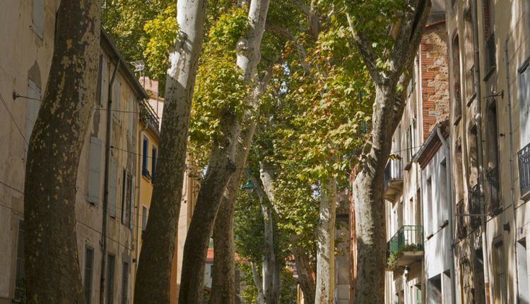 La ville de Céret en France © Par Diana Leadbetter/Shutterstock