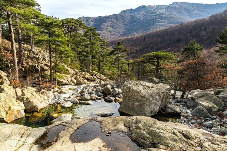La cascade des Anglais dans la forêt de Vizzavona - © Jon Ingall/Shutterstock