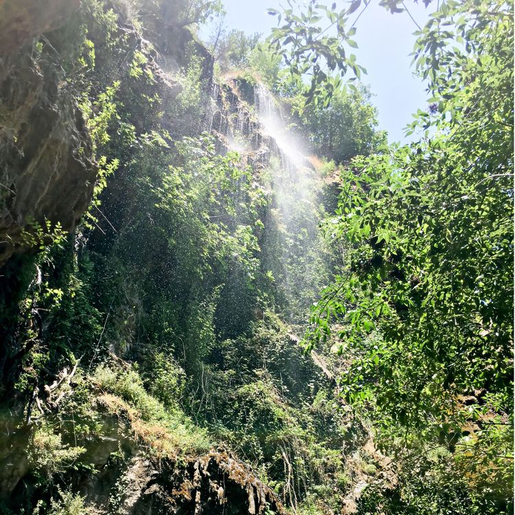 Sous la cascade « Les Carmes » dans la forêt près de Barjols, en Provence, France.