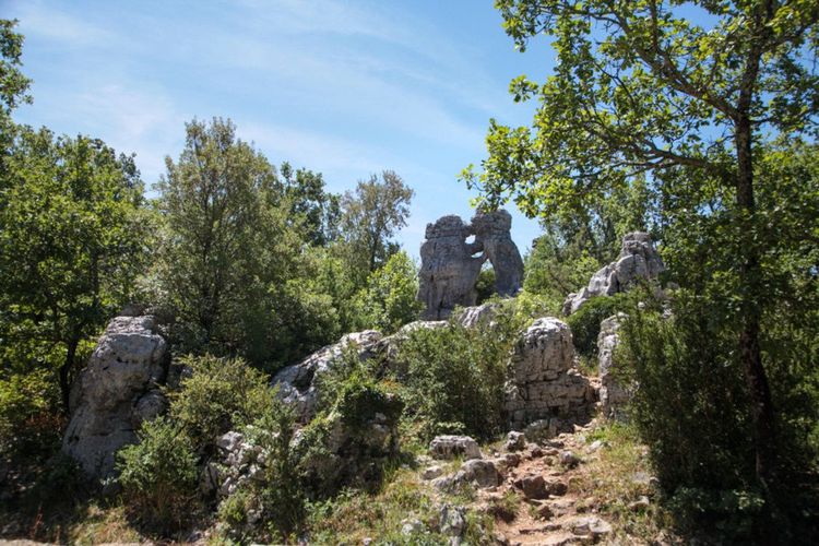 Le Bois de Païolive en Ardèche. - © Mike_O / Shutterstock