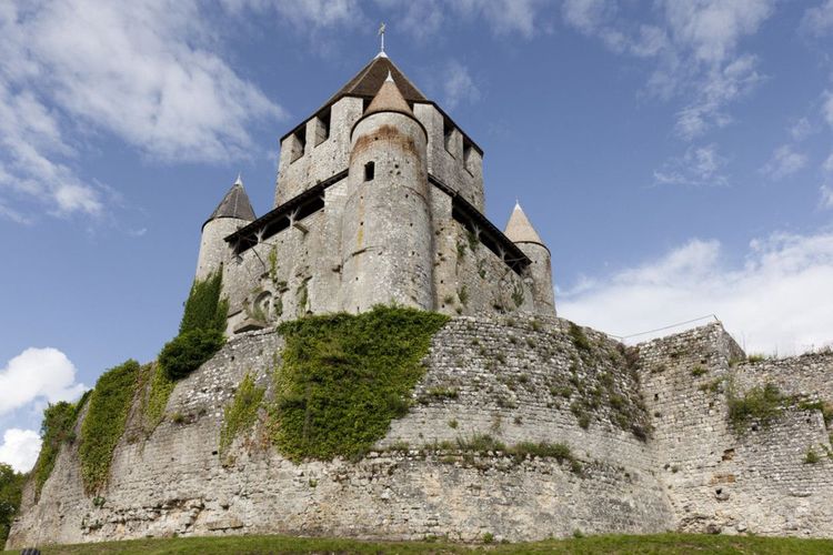 La tour César dans la ville de Provins - © Francisco Javier Gil / Shutterstock