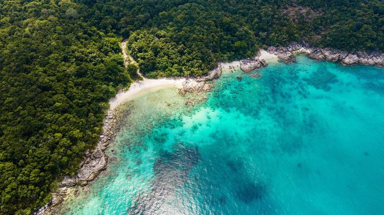 La jungle des îles Perhentian © Xavier Lorenzo/Shutterstock