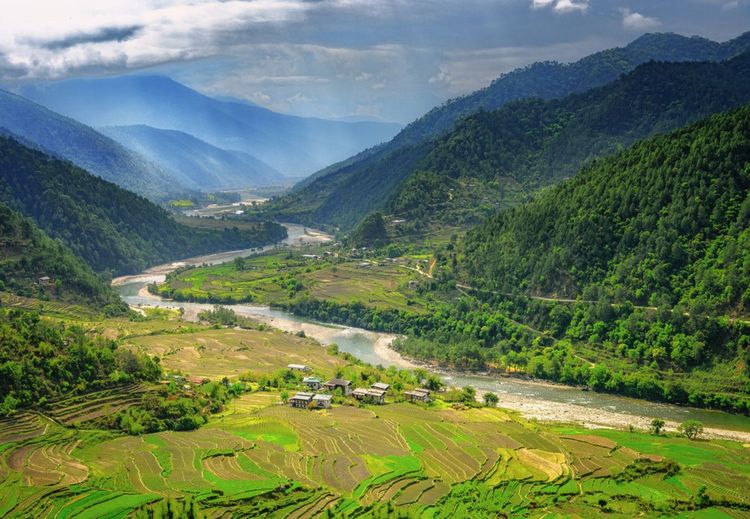 Paysages de rizières et de forêts au Bhoutan  © mbrand85 / Shutterstock