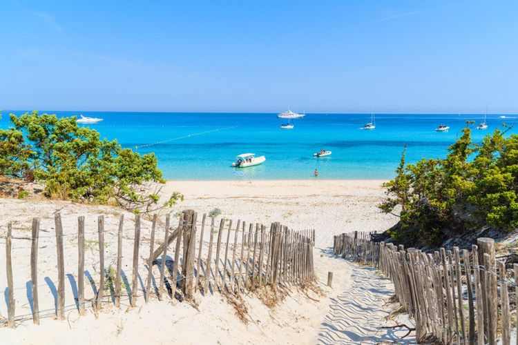 La plage de Saleccia, près de Saint-Florent - © Pawel Kazmierczak / Shutterstock