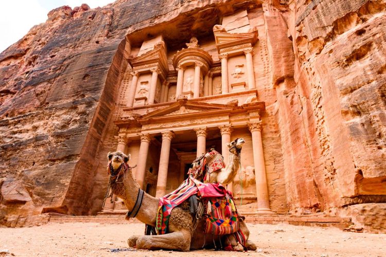 Des chameaux devant Al Khazneh, littéralement "Le Trésor", à Petra. - © Travelwild / Shutterstock