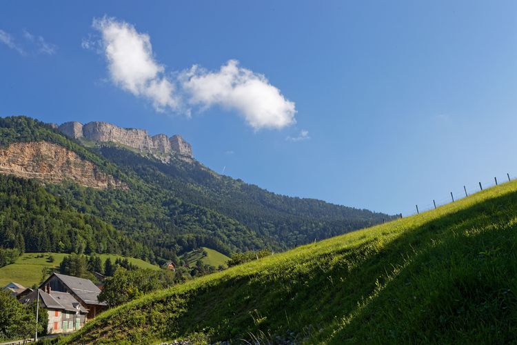 Sommet de Chamechaude, au loin