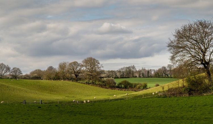 Le paysage rural de Suffolk