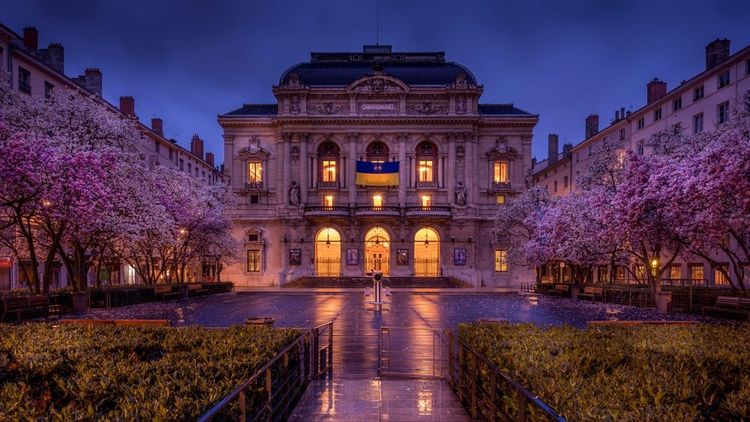La place des Célestins à l'aube avec le théâtre au fond et les arbres à fleurs