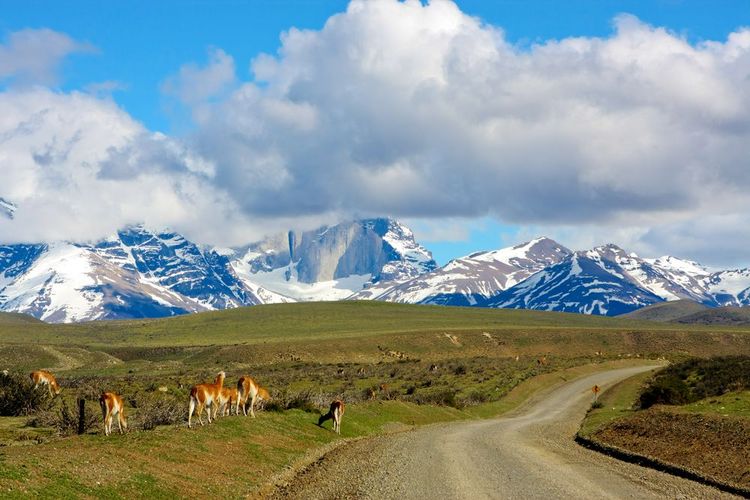 Les montagnes de Torres del Paine